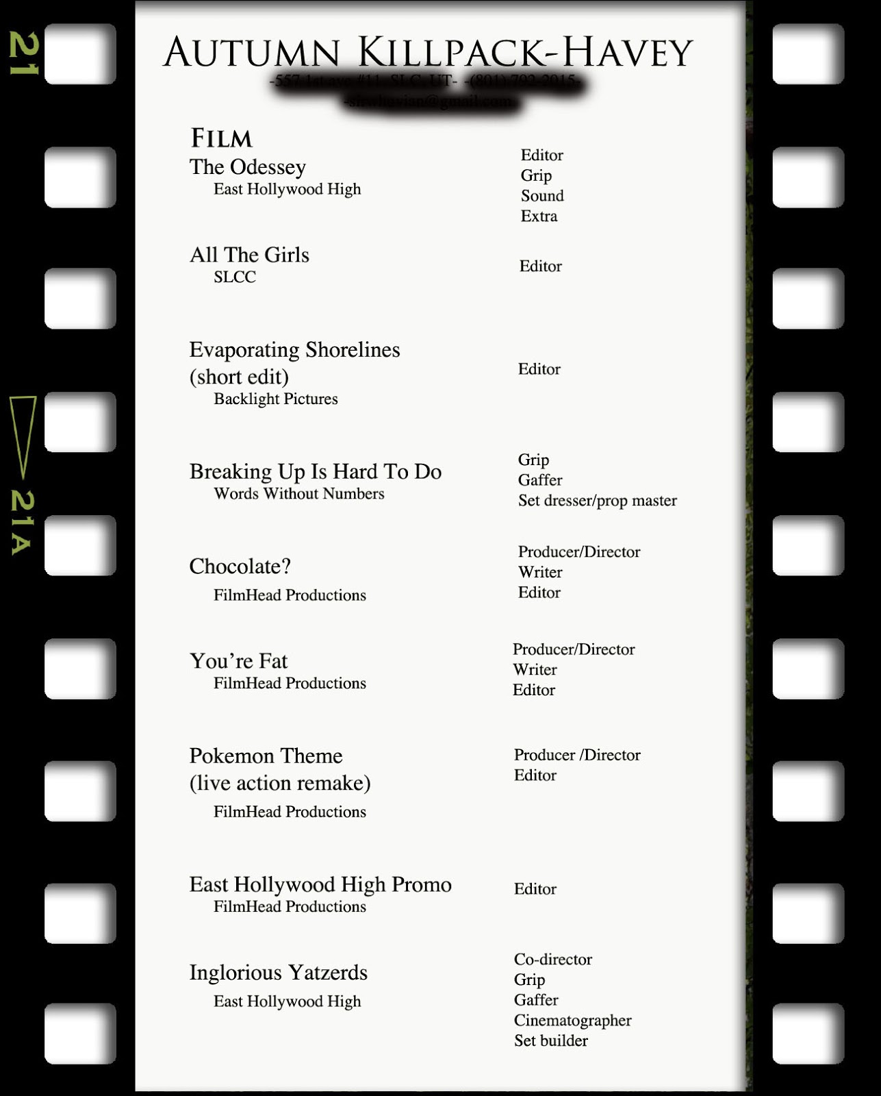Video resume example